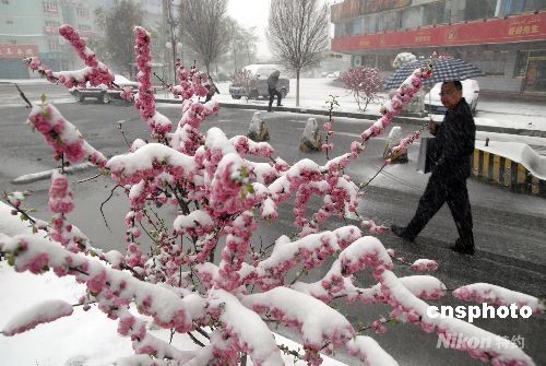 遭遇強(qiáng)冷空氣襲擊 中國多地谷雨季節(jié)迎降雪[組圖]