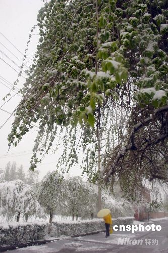 遭遇強(qiáng)冷空氣襲擊 中國多地谷雨季節(jié)迎降雪[組圖]