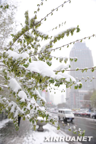 遭遇強冷空氣襲擊 中國多地谷雨季節(jié)迎降雪[組圖]