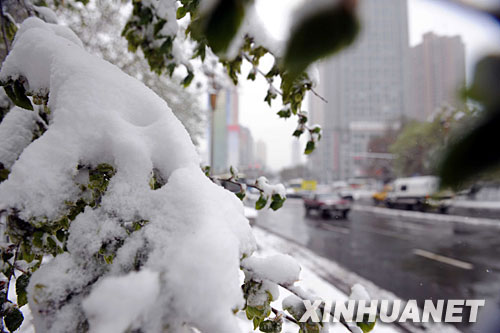 遭遇強(qiáng)冷空氣襲擊 中國多地谷雨季節(jié)迎降雪[組圖]