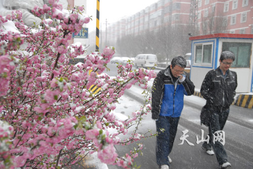 遭遇強(qiáng)冷空氣襲擊 中國多地谷雨季節(jié)迎降雪[組圖]