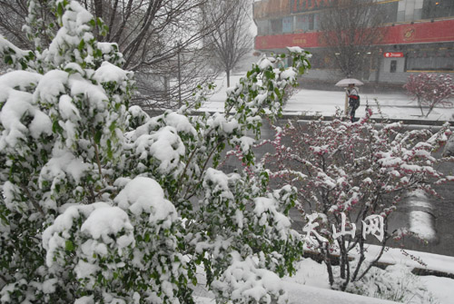 遭遇強(qiáng)冷空氣襲擊 中國多地谷雨季節(jié)迎降雪[組圖]