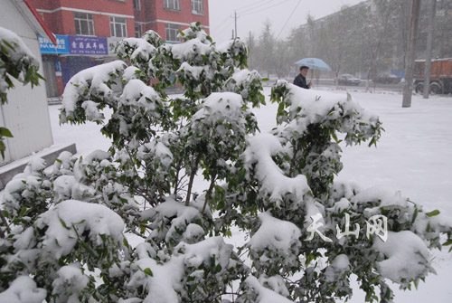 遭遇強冷空氣襲擊 中國多地谷雨季節(jié)迎降雪[組圖]