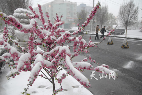 遭遇強冷空氣襲擊 中國多地谷雨季節(jié)迎降雪[組圖]