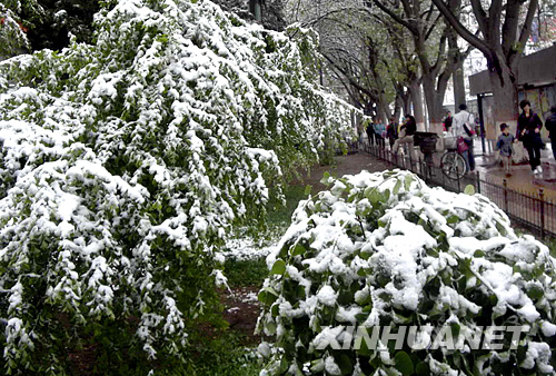 遭遇强冷空气袭击 中国多地谷雨季节迎降雪[组图]