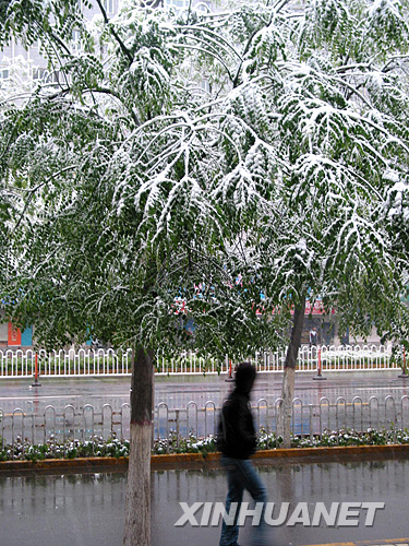 遭遇强冷空气袭击 中国多地谷雨季节迎降雪[组图]