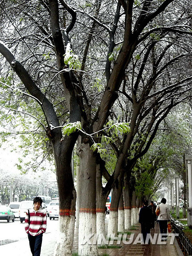 遭遇強冷空氣襲擊 中國多地谷雨季節(jié)迎降雪[組圖]