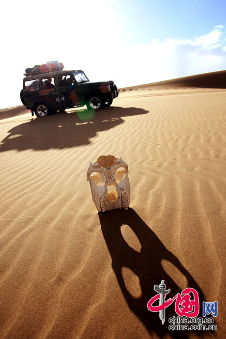 没有人烟的沙漠中吉普车代替了骆驼 通拉嘎/摄影