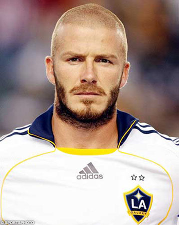 世界足坛十大胡须男-文斌的设计师家园:::诺宾家园-专栏文章-尽在中国