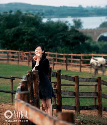 著名女星张静初纯美写真醉意迷人