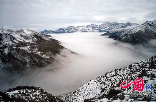 资料图片：卧龙最高峰巴郎山云海。 罗小韵/摄影