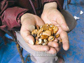 亲历地震：76岁老人用胡豆充饥牛奶解渴