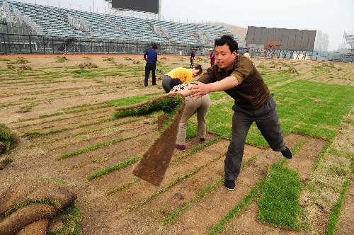 五棵松体育中心棒球场铺设草坪