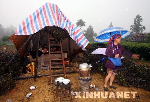 5月13日，四川眉山受災群眾在臨時搭建的帳篷裏避雨。