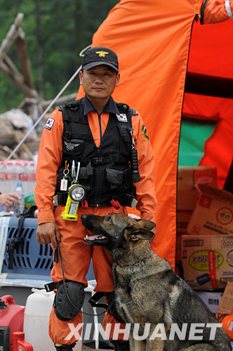 一名韩国救援队员在搜救现场牵着搜救犬