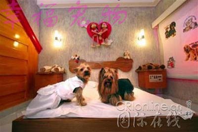 超级另类怪异情侣旅馆(组图)