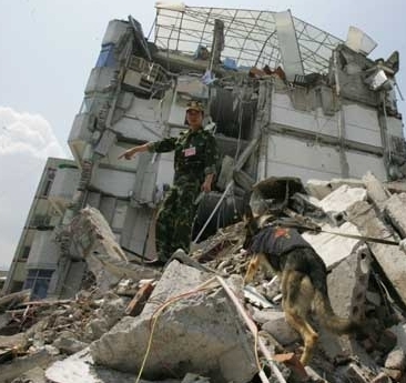 地震灾区中的特别英雄