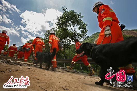 来自沈阳的消防队携带专业设备及搜救犬进入灾区。