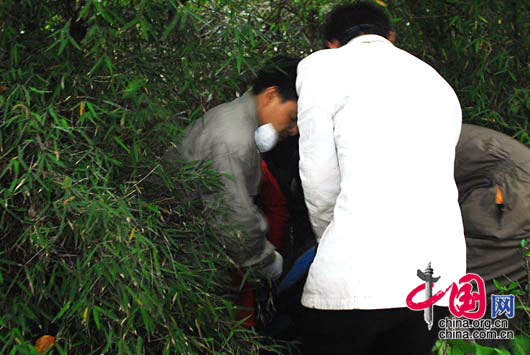 2008-05-12 17：37 冒着山体滑坡的危险，工作人员将逃跑的大熊猫找回来。 卧龙人/摄影