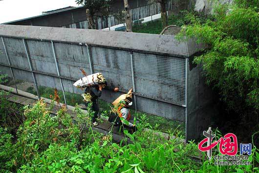 2008-05-12 18：07 臥龍人每天冒著余震不斷，沿著這樣的山路去砍竹筍。 臥龍人/攝影