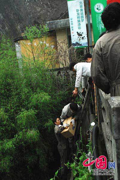 2008-05-12 18：07 臥龍人是這樣給熊貓運送食物的。 臥龍人/攝影