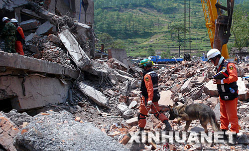 5月19日，在什邡市蓥华镇一处楼房废墟上，来自韩国的救援队员使用搜救犬搜寻幸存者。
