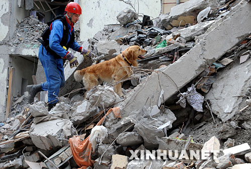 5月18日，俄罗斯救援队员在废墟中用搜救犬搜索幸存者。 5月16日，俄罗斯救援队抵达汶川大地震灾区，在3天的搜救过程中，成功救出了一名被困127小时的幸存者。