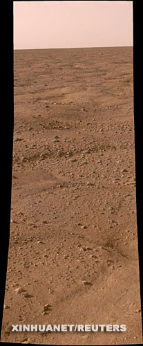 這是5月25日由美國“鳳凰”號火星著陸探測器拍攝的第一批火星北極附近的彩色圖片其中一張。 新華社/路透 