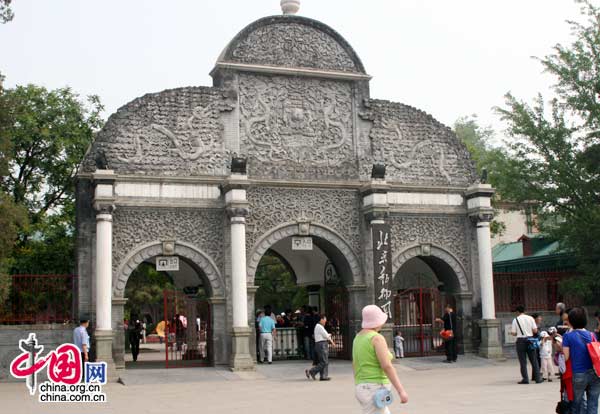 08年6月5日上午11時，來自臥龍的奧運熊貓在北京動物園首次與遊人見面。(中國網 張琳攝) 