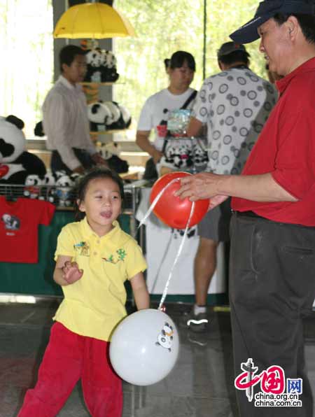 08年6月5日上午11時，來自臥龍的奧運熊貓在北京動物園首次與遊人見面。(中國網 張琳攝) 