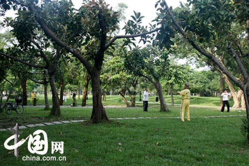 实拍：风景秀丽的台湾大安森林公园 摄影/猫猫