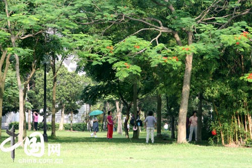 实拍：风景秀丽的台湾大安森林公园 摄影/猫猫