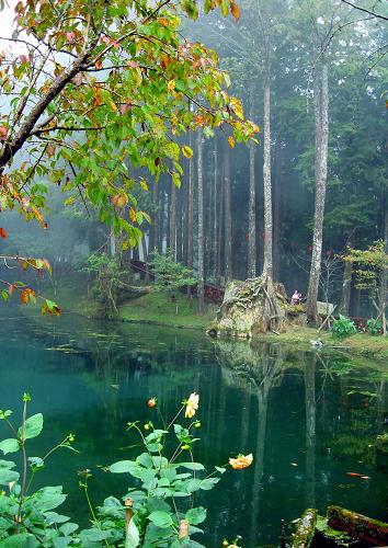 安博体育官方台湾宝岛风景[组图](图1)