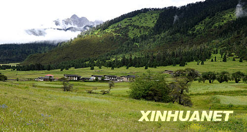 夏日的林芝山區(qū)風(fēng)光