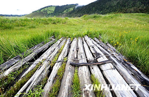 夏日的林芝山區(qū)風(fēng)光