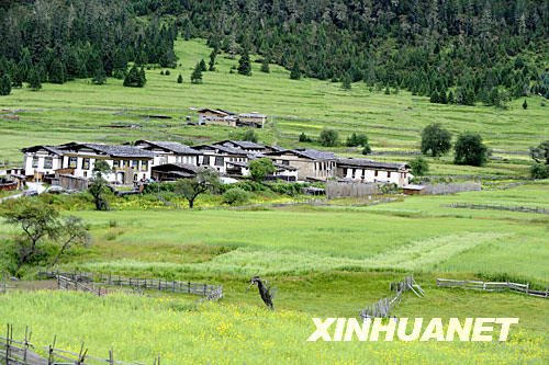 夏日的林芝山區(qū)風(fēng)光