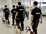 首都机场警犬上岗执勤