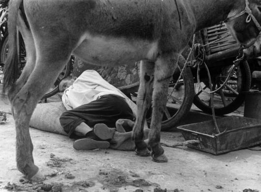  1978年夢開始的地方——北京那時候北京的二環外就是郊區了，在西郊百萬莊的農貿市場，經常可以看到辛苦的農民趕著驢車來城裏出售自己生産的農産品，累了睏了，就席地而睡。