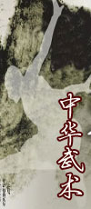 武术