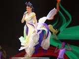 29日晚，《百年圆梦——迎2008北京奥运会文艺晚会》在北京举行，中共中央政治局常委出席并观看。
