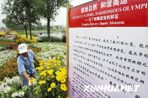 7月30日，花卉养护员在为“奥运花卉”插上名牌。 新华社记者李紫恒摄
