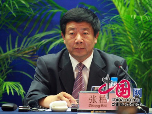 国家文物局副局长张柏
