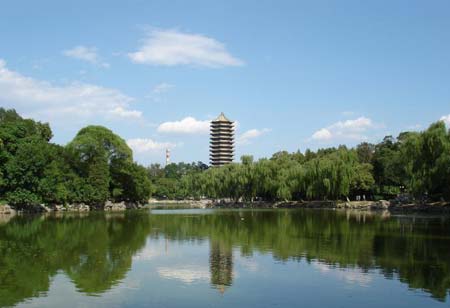 最受奥运冠军青睐大学排行 北京大学