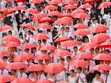 首届粤港澳浪漫之旅嘉年华活动在澳门举行[组图]