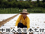 中国人在日本乞讨