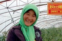 宁夏节水农业使农民获益