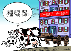 “送一头奶牛”雷晕你