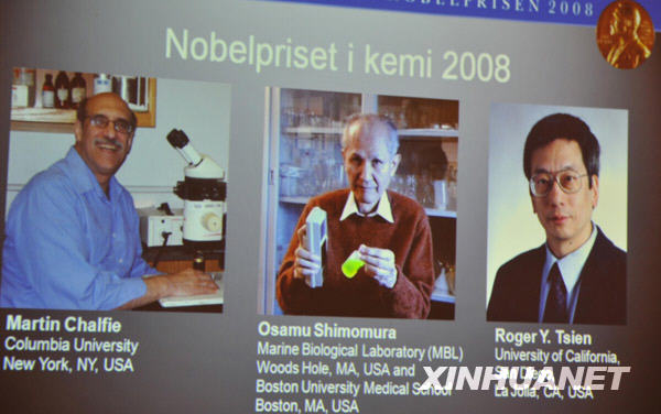 诺贝尔化学奖,沙尔菲,村修,绿色荧光蛋白,永健,瑞典皇家科学院,美国科学家,日本科学家,2008年,马丁