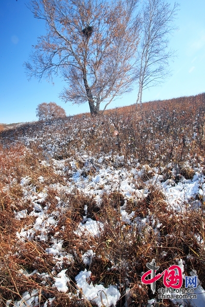 投稿选登：刘长春——坝上2008年的第一场雪[组图]