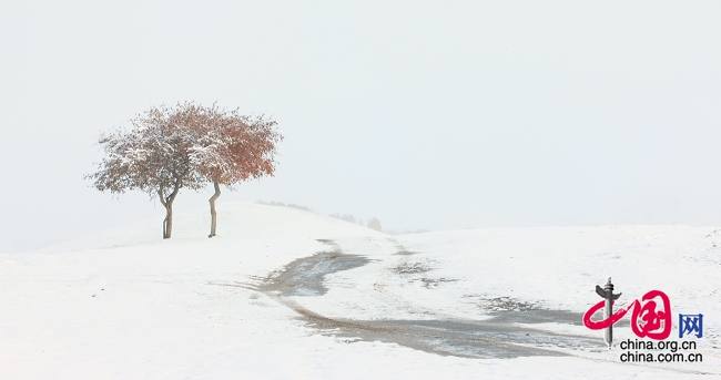 投稿選登：劉長春——壩上2008年的第一場雪[組圖]